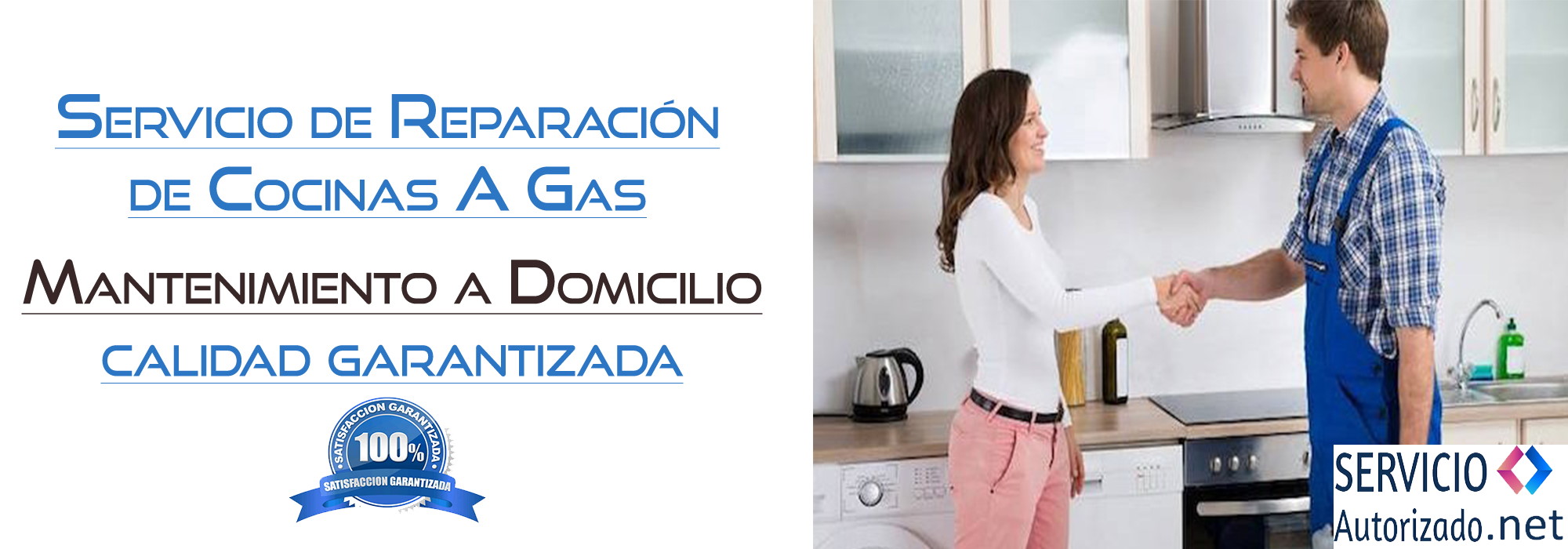 Servicio Autorizado net