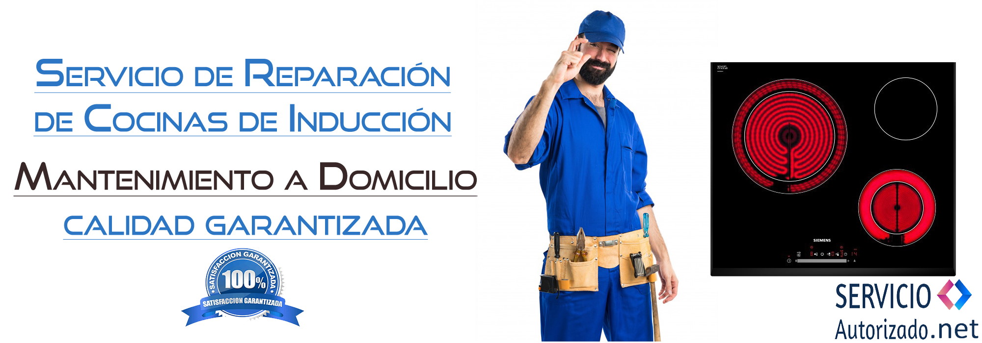 Servicio Autorizado net