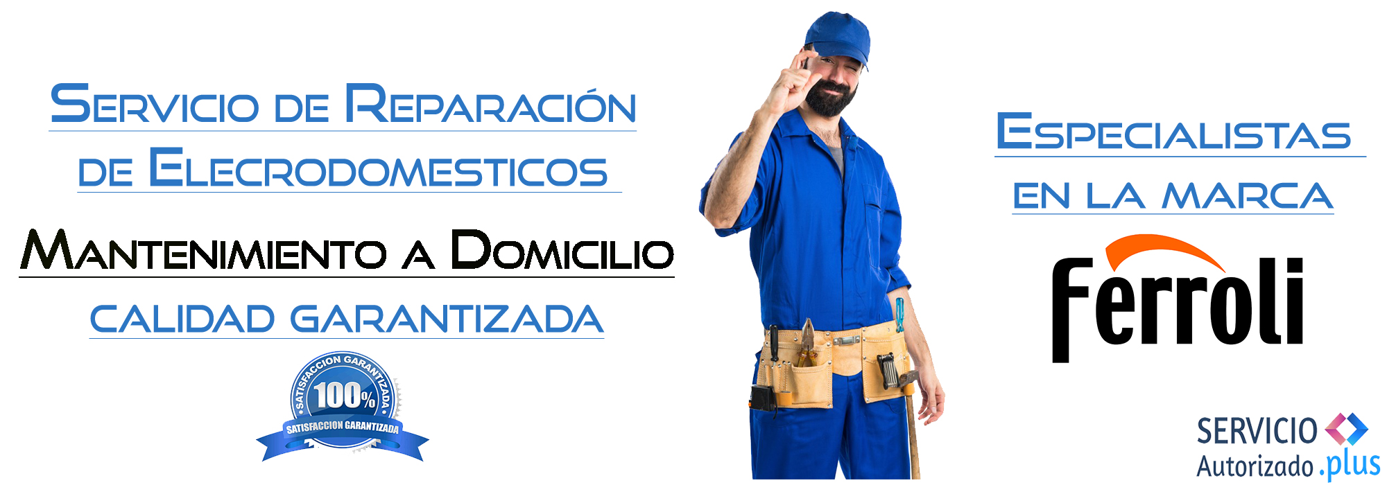 Servicio Autorizado Navarra Plus