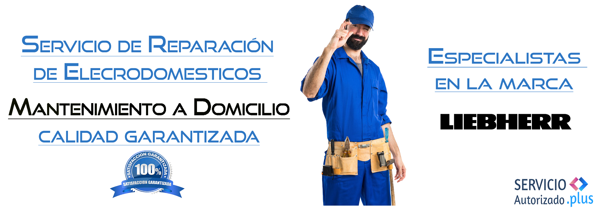 Servicio Autorizado Navarra Plus